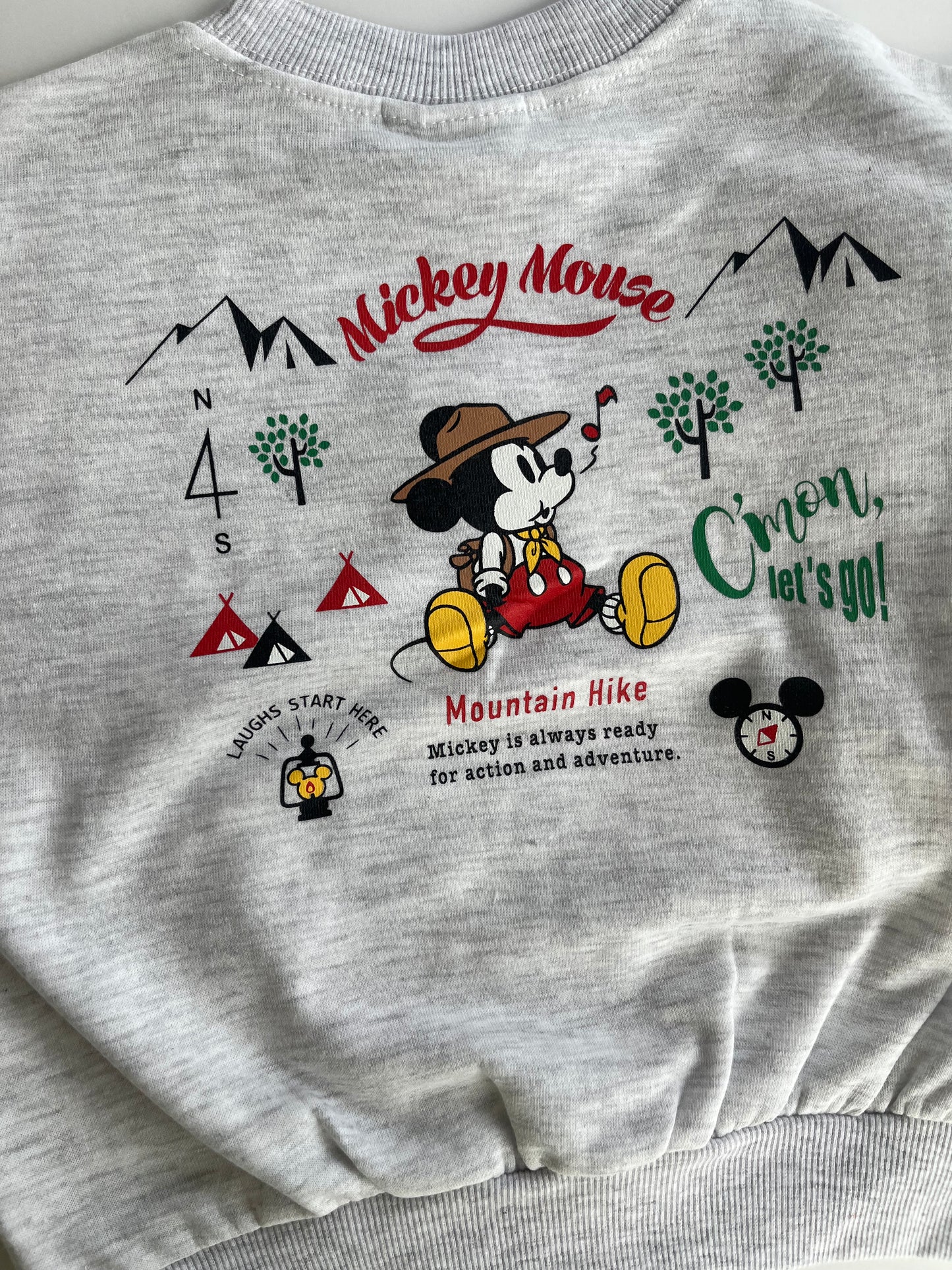 Mickey Mountain Sweatshirt