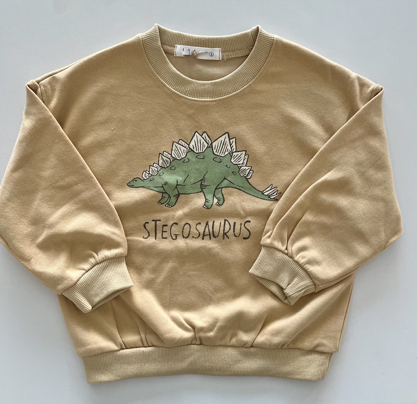 Stegosaurus Sweatshirt