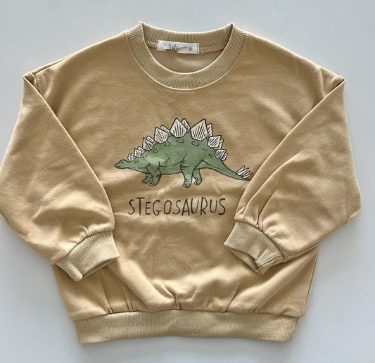 Stegosaurus Sweatshirt